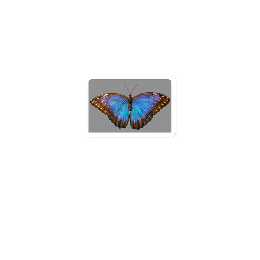 Butterfly blue Magnet